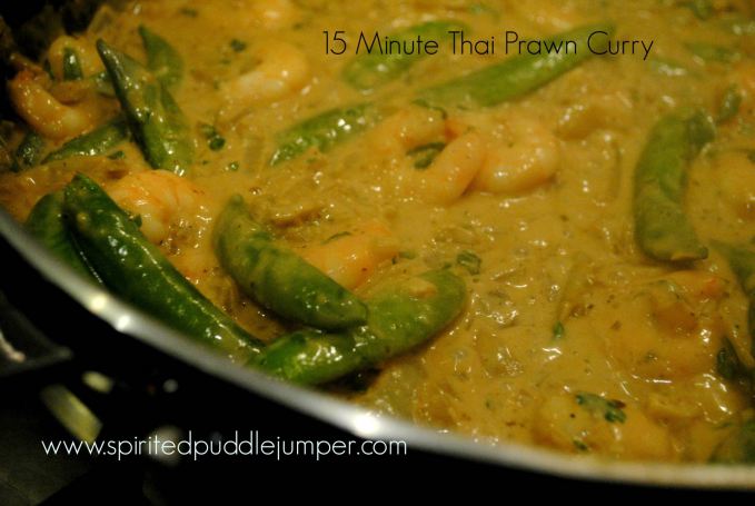15 Minute Thai Prawn Curry