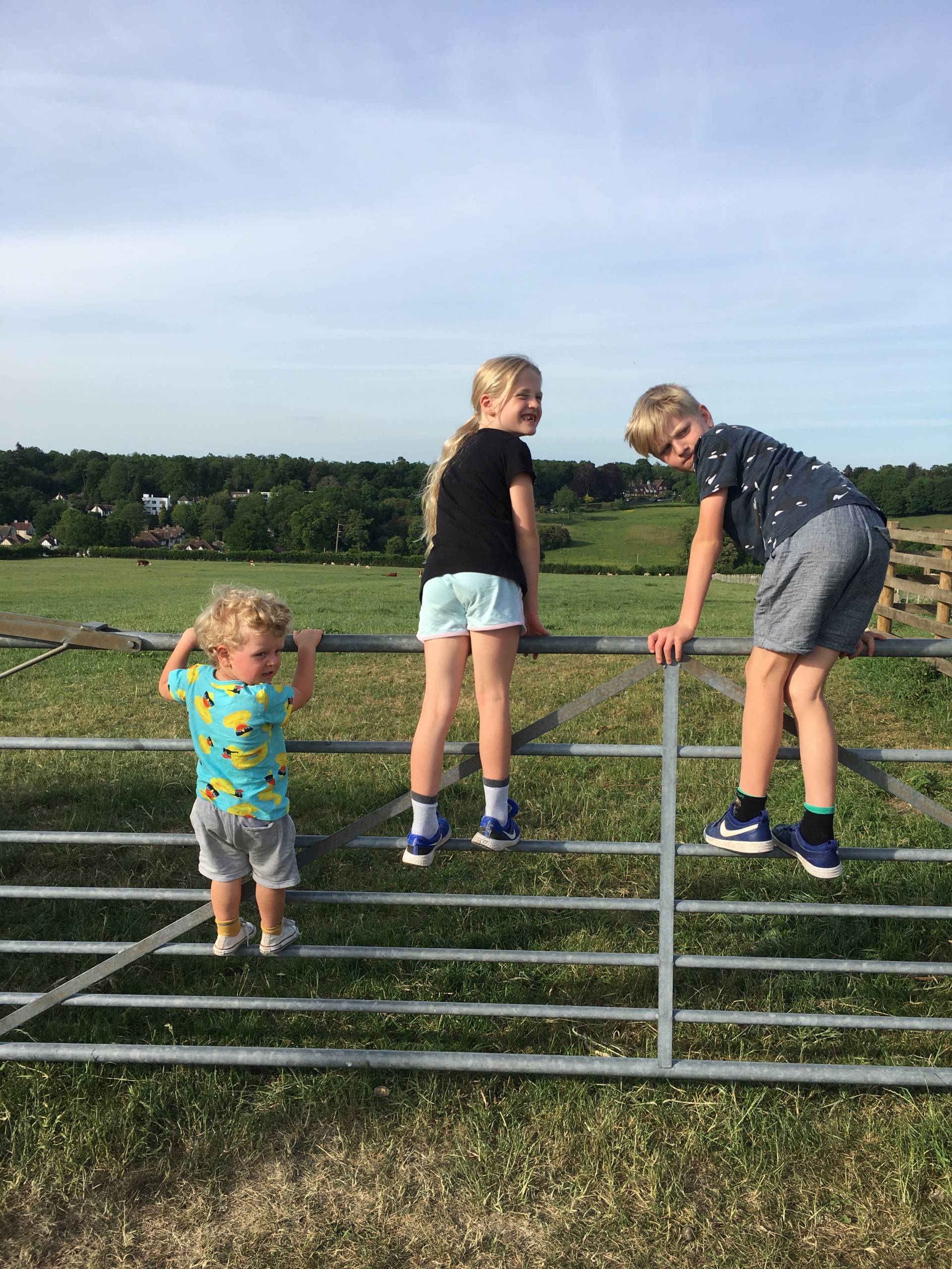 children standing on farm gate