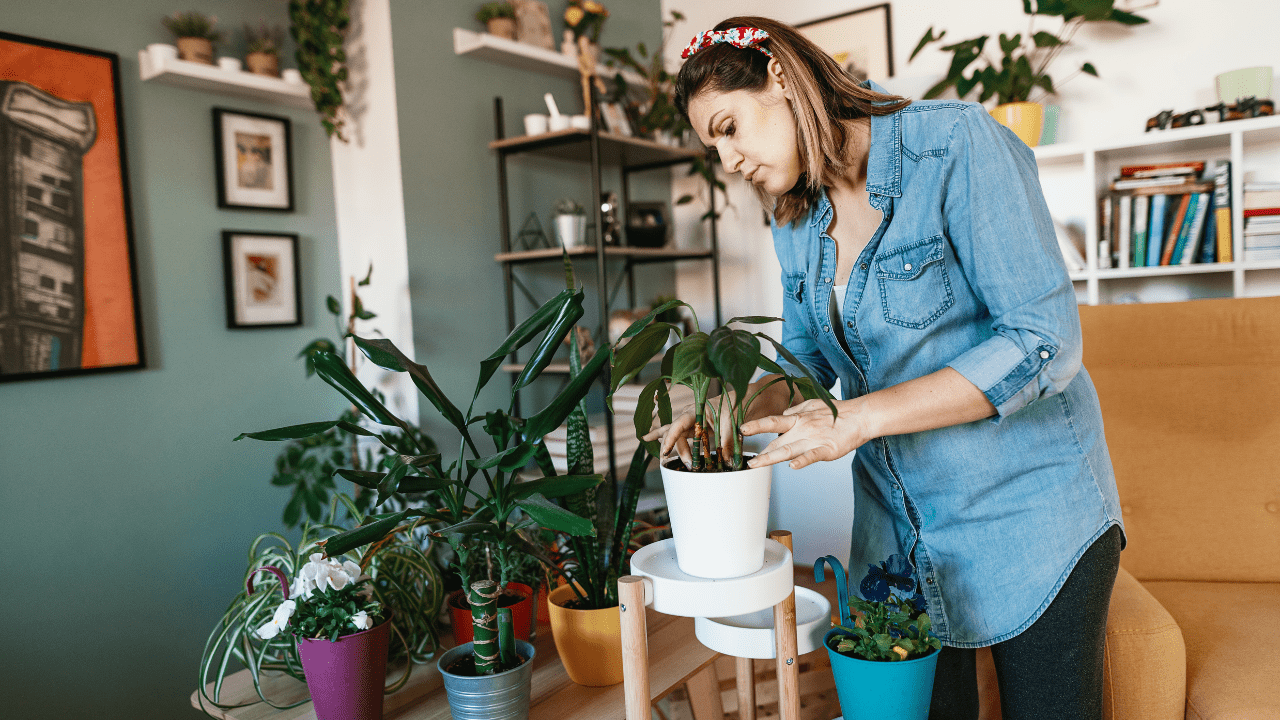 Eco Friendly Makeovers On A Budget photo