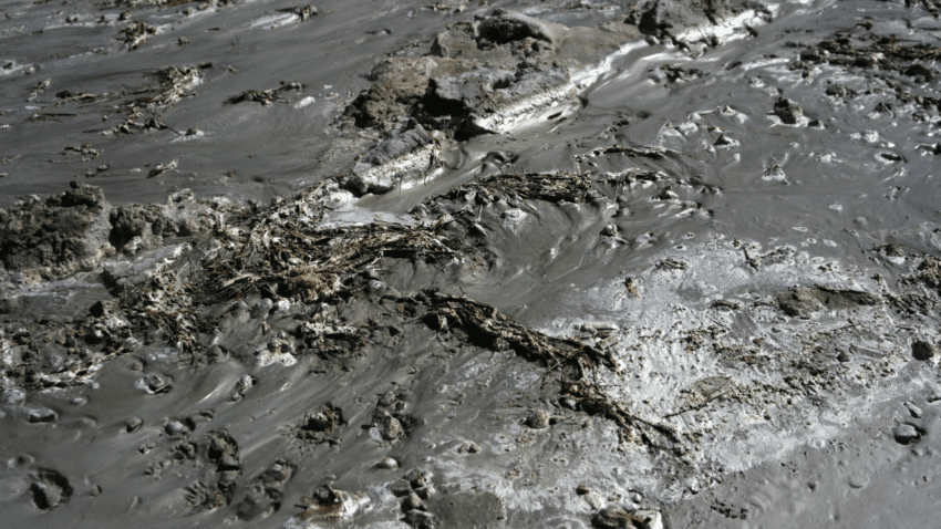 Oil Sludge and Engine Strain: Can One Filter Prevent It? - The Spirited ...
