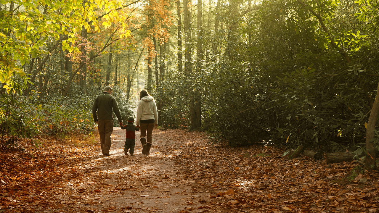 autumn family south london