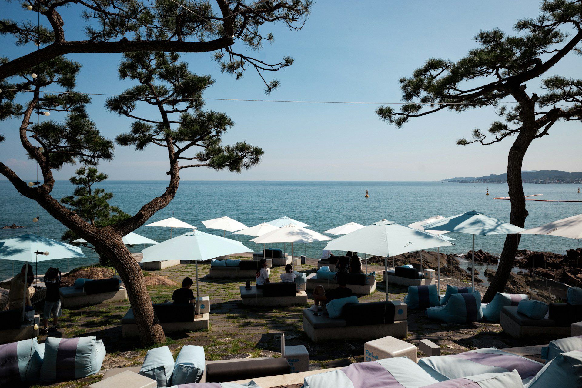 From Coastal Views to Cultural Hubs: Exploring Busan - The Spirited ...